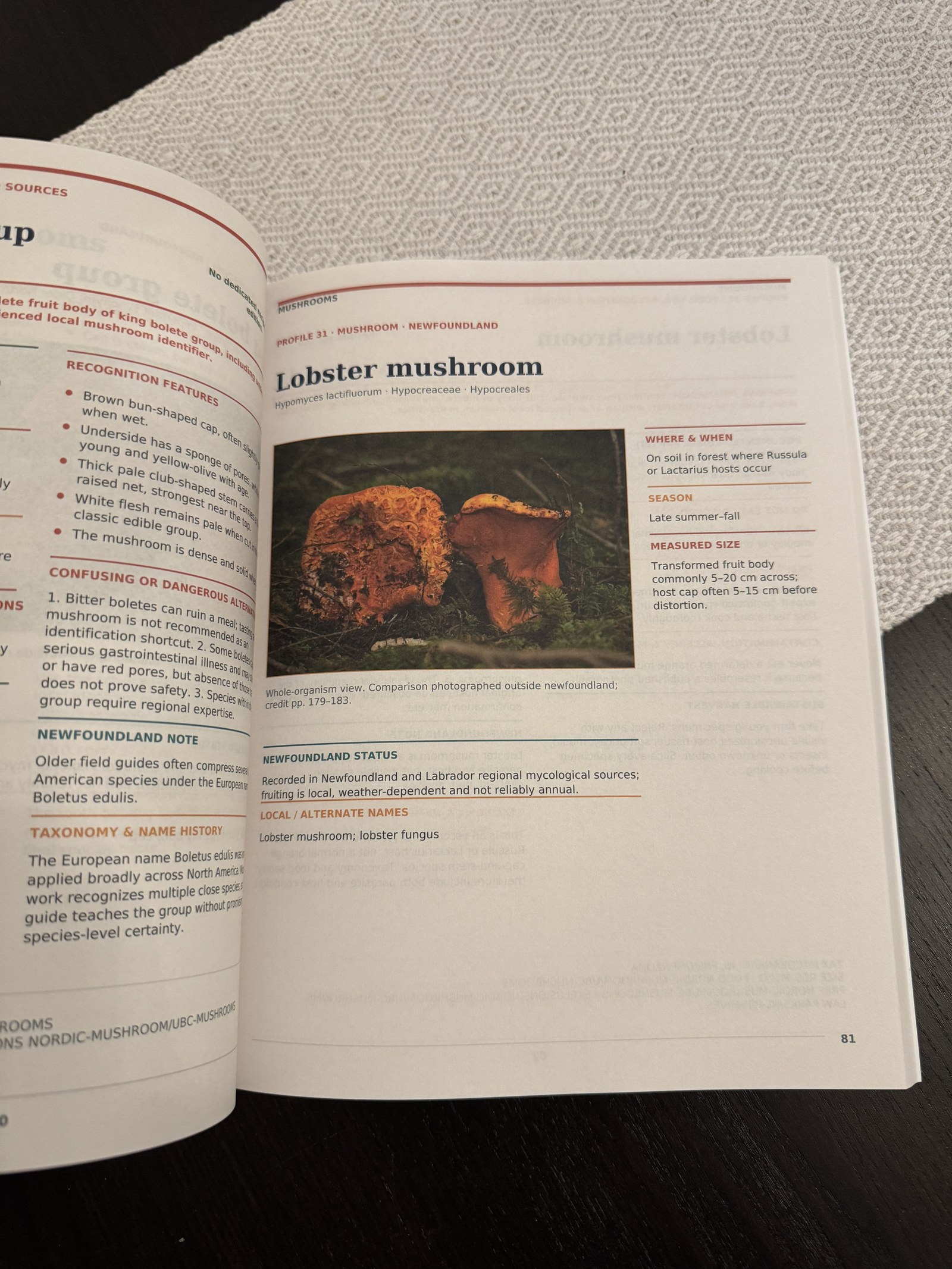 Complete physical-book photograph of the lobster mushroom profile spread
